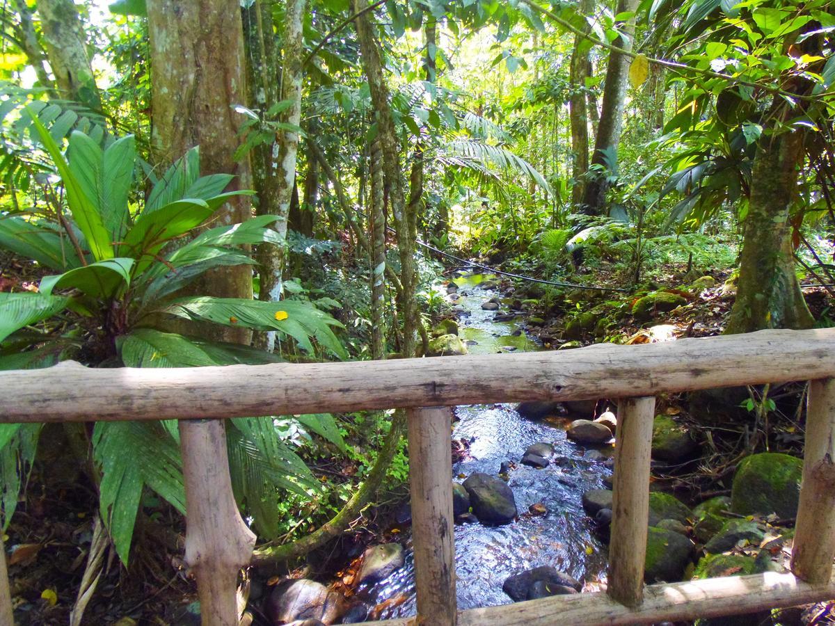 Hotel Valle Azul San Gerardo Chambre photo