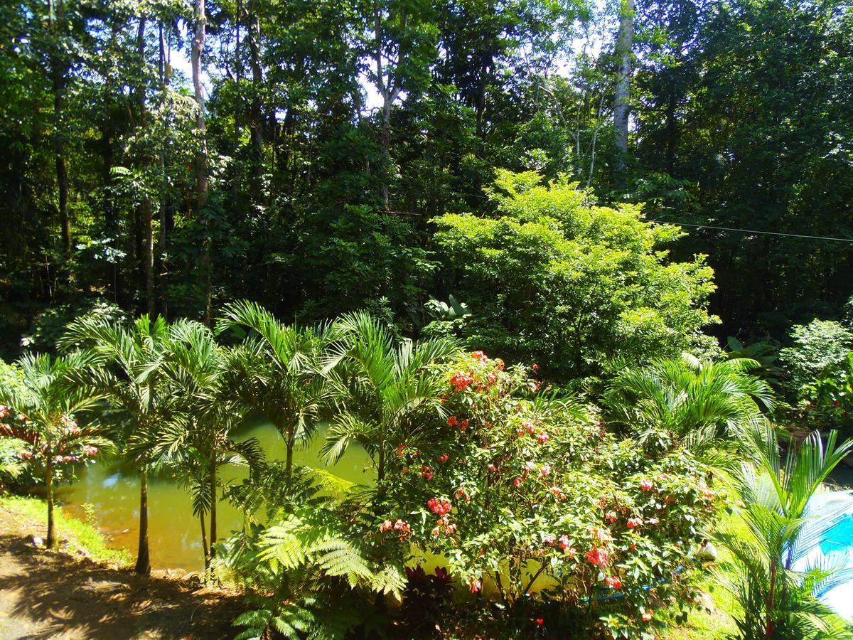 Hotel Valle Azul San Gerardo Chambre photo