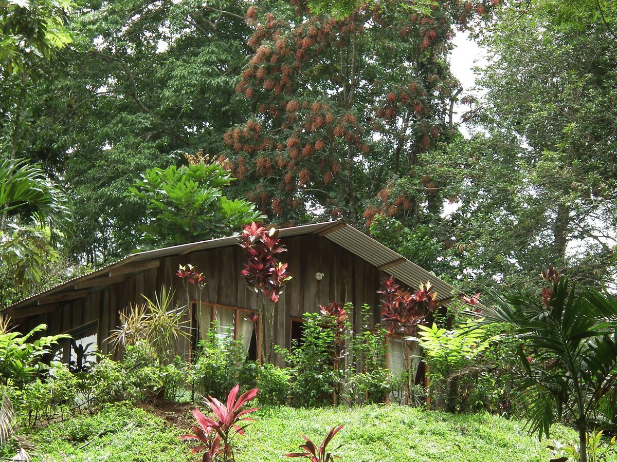 Hotel Valle Azul San Gerardo Chambre photo