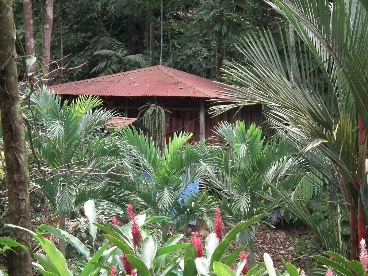 Hotel Valle Azul San Gerardo Chambre photo