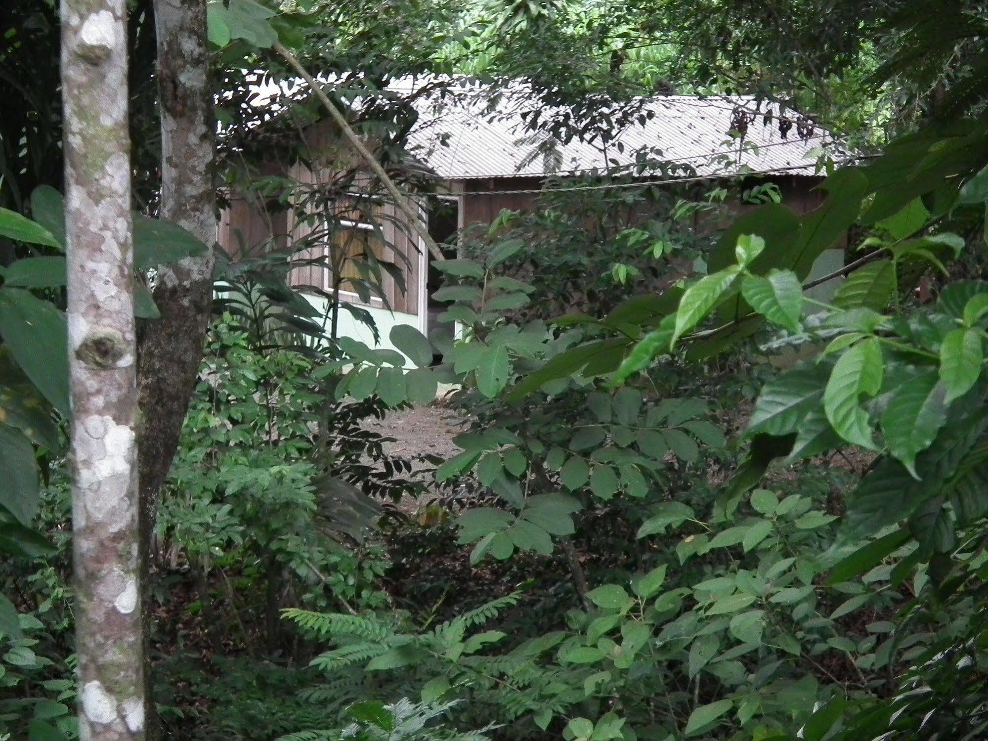 Hotel Valle Azul San Gerardo Extérieur photo